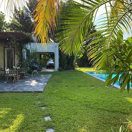 Miami Guest House With Large Pool ภายนอก รูปภาพ